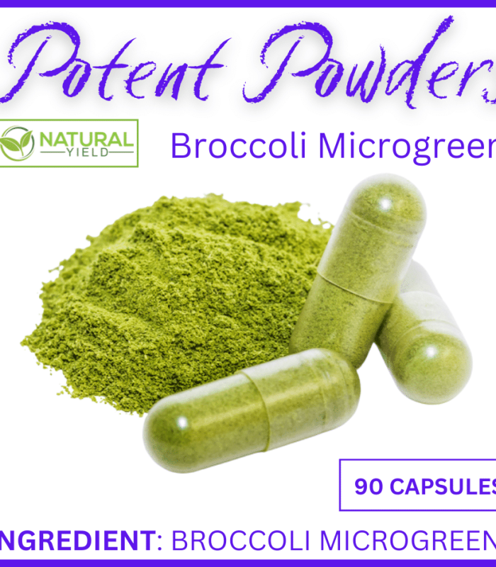 Potent Powder Broccoli Microgreen 90 Capsules