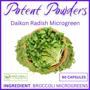 Potent Powders Daikon Radish Microgreen