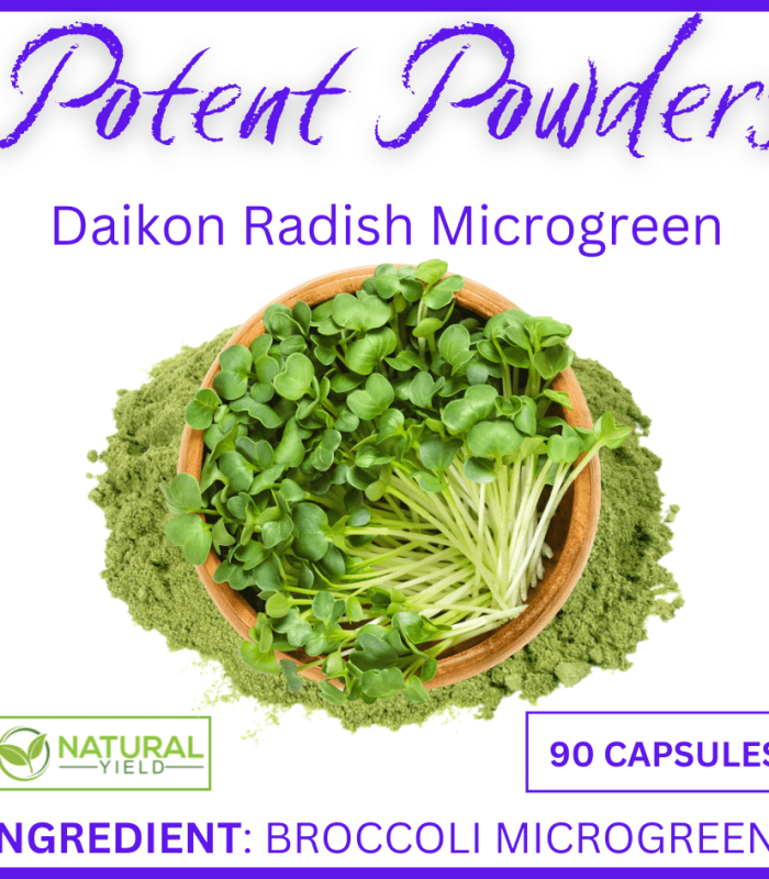 Potent Powders Daikon Radish Microgreen