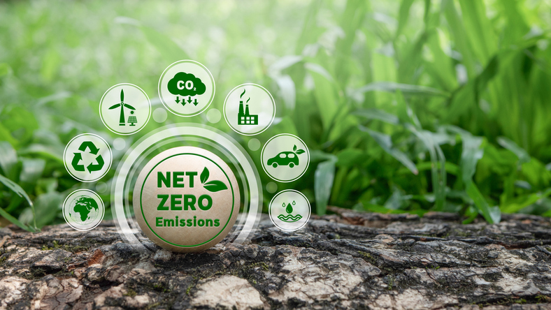 net zero carbon footprint