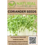 Coriander Seeds