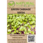 Green Cabbage Seeds