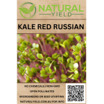 Kale Red Russian Seeds