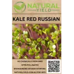 Kale Red Russian Seeds
