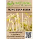 Mung Bean Seeds