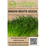 Onion White Seeds