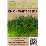 Onion White Seeds