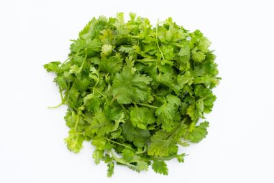 Coriander