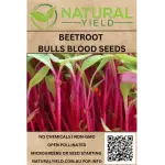 Beetroot Bulls Blood Seeds
