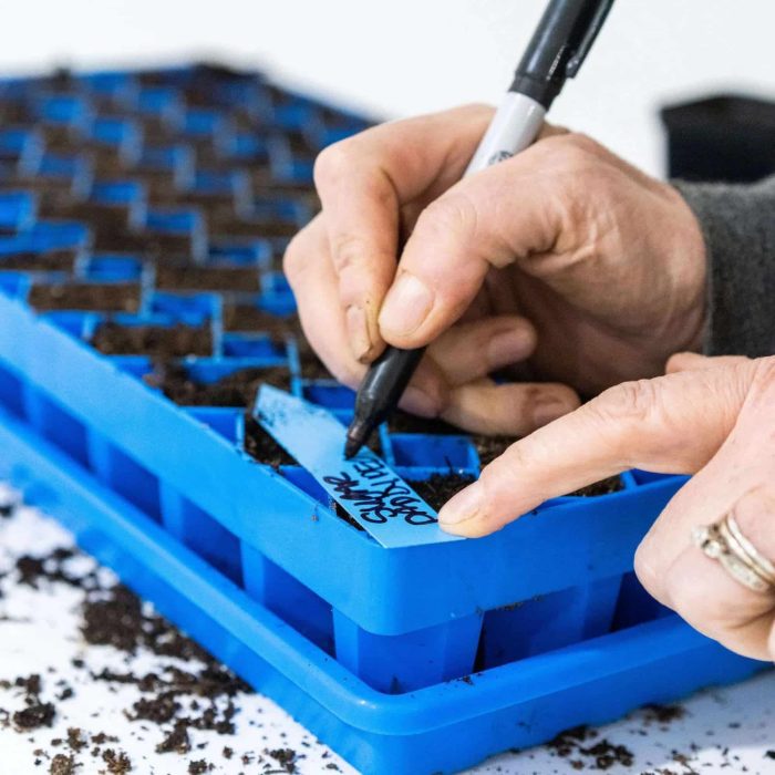 Air Prune Propagation Tray