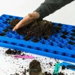 AIR PRUNE PROPAGATION TRAY