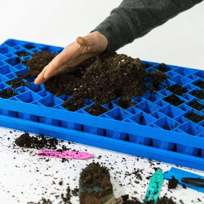 Air Prune Propagation Tray