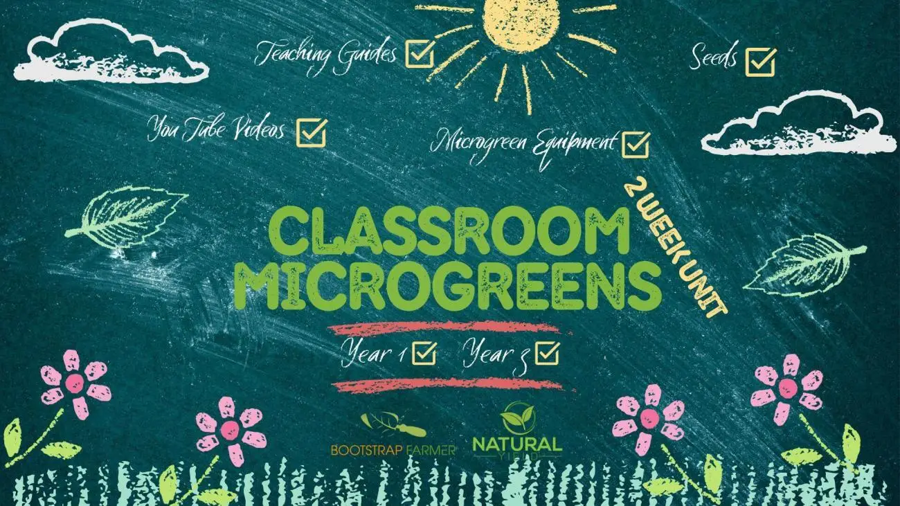Classroom Greens Presentation 169 1 | Natural Yield
