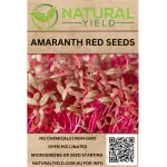Amaranth Red Seeds