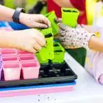 classroom seed starting bundle