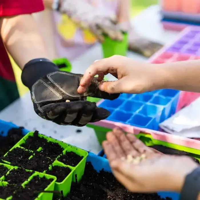 Classroom Seed Starting Bundle