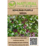Kohlarbi Purple Seeds