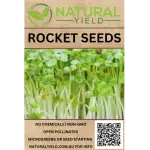 Rocket Seeds
