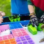 classroom seed starting bundle