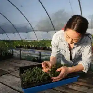 Seed Starting Trays