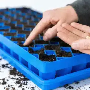 Air Prune Tray