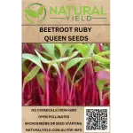 Beetroot Microgreen - Beetroot Ruby Queen Seeds
