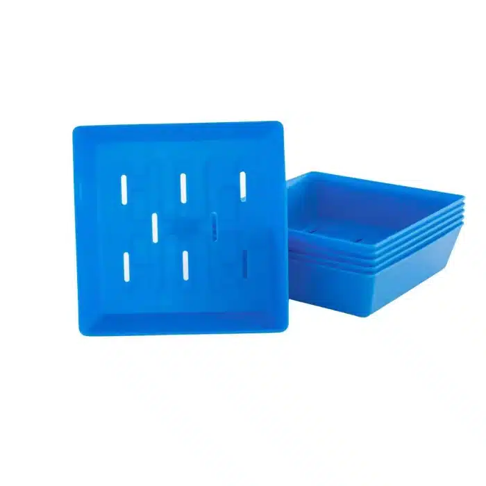 5X5 Shallow Microgreen Trays Blue With Holes