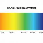 A Rainbow Colored Spectrum Of Light