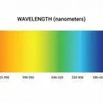 A Rainbow Colored Spectrum Of Light