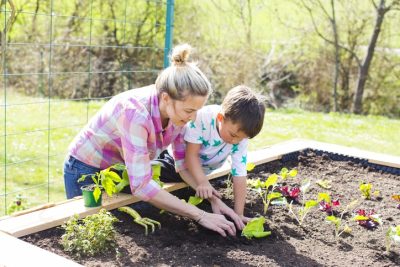 Family Gardening