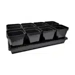 5" Seed Starter Pots Black in 1020 tray