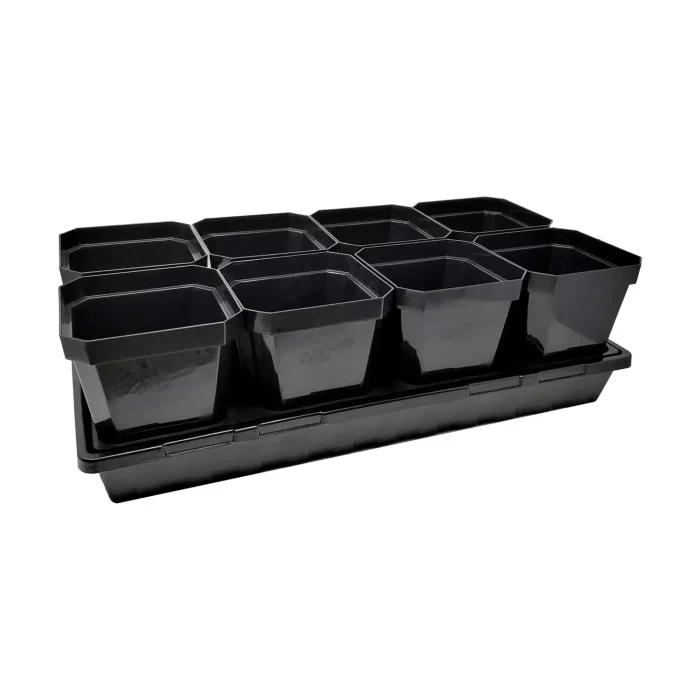 5&Quot; Seed Starter Pots Black In 1020 Tray