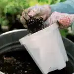 a person holding a plant in a pot