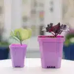 3.3" Seed Starter Pots Purple Two