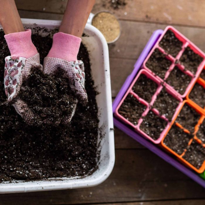 4 Cell Tray Insert | Multi-Color Potted