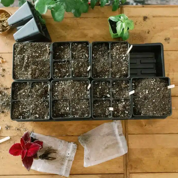 4 Cell Tray Insert | Black Potted