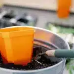 5" Seed Starter Pots Orange Potting