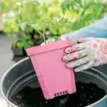 5" Seed Starter Pots Pink Potting