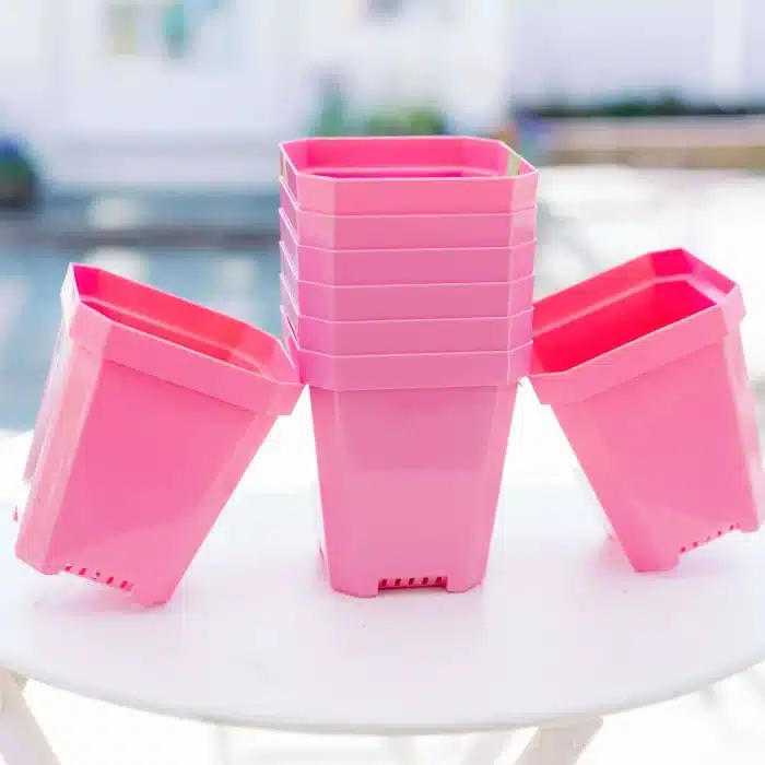 5&Quot; Seed Starter Pots Pink Multiple