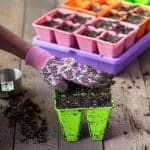 4 Cell Tray Insert | Multi-Color Potted