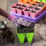 4 Cell Tray Insert | Multi-Color Potted