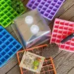 1010 Seed Starter Kits