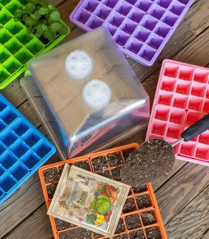 1010 Seed Starter Kits