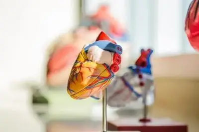 How to fight high blood pressure naturally