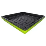 1010 Microgreen Combo Green