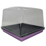 1010 Microgreen Pack with Dome Purple