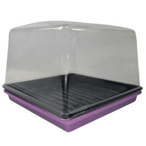 1010 Microgreen Pack With Dome Purple