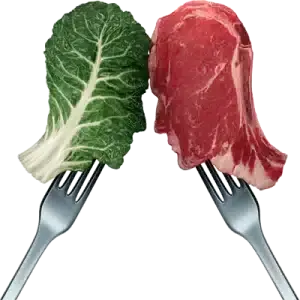 Vegan vs Carnivore