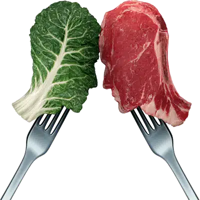 Vegan Vs Carnivore