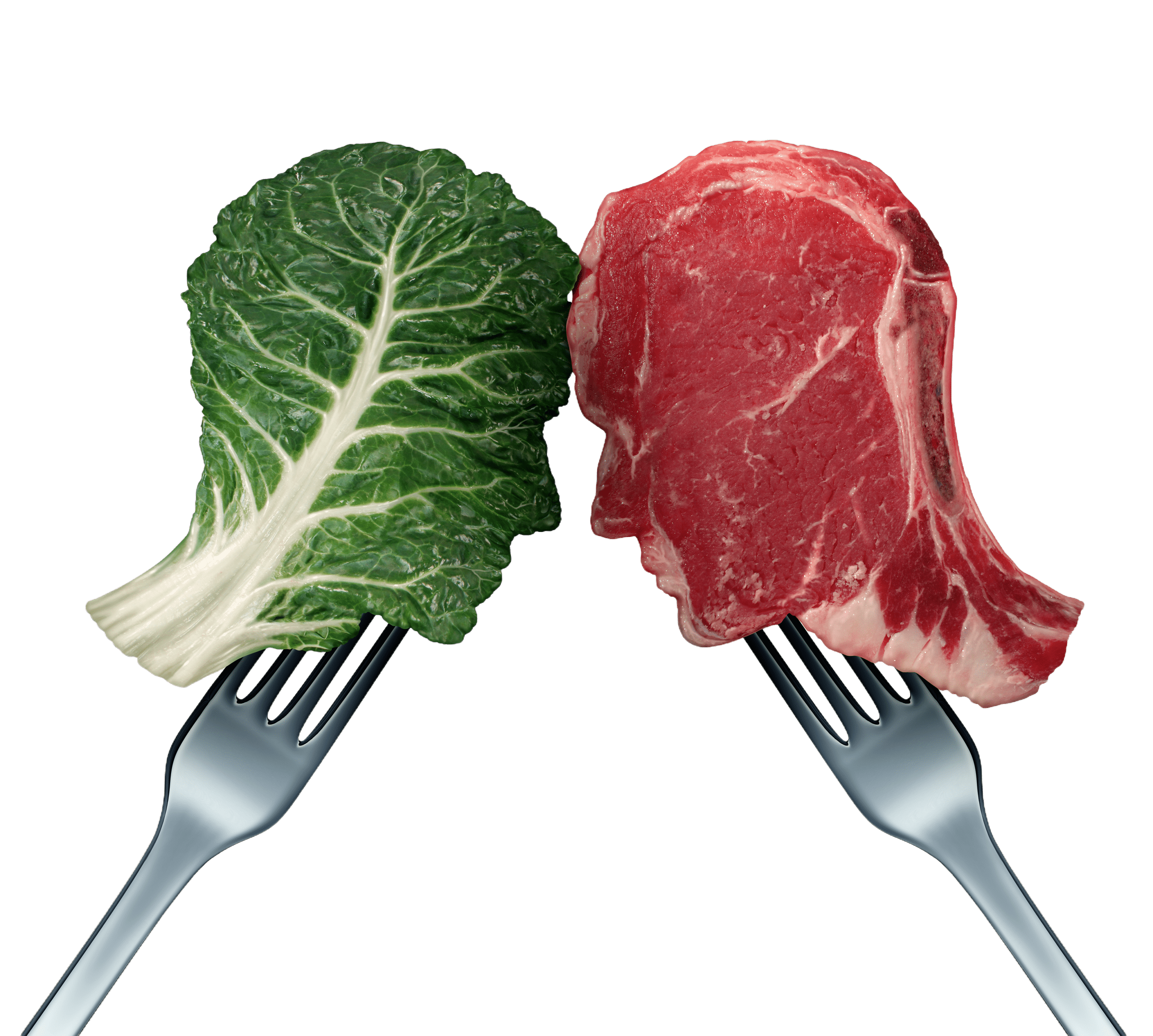 Vegan Vs Carnivore